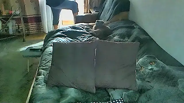 sex2 online show from March 2026 02:04:02 AM