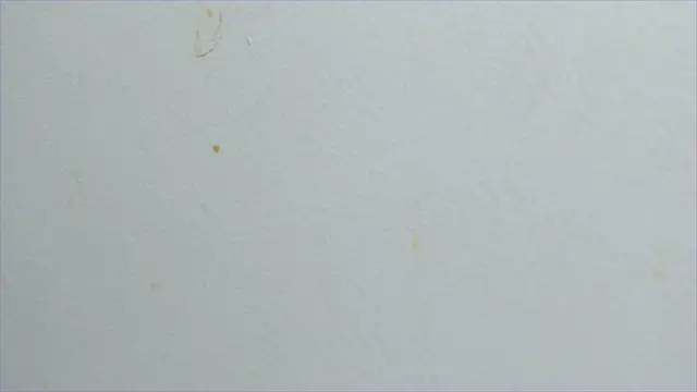 Snapshot of lisa2018 chatting on February 2025 11:10:02 PM lisa2018 online show from February 2025 11:10:02 PM