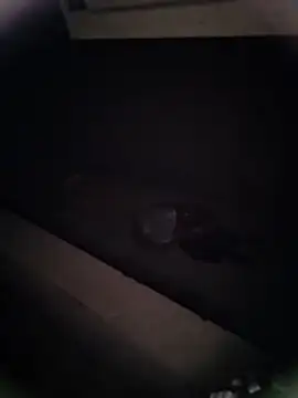 Pitercom online show from January 2026 12:46:01 AM