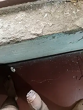 Snapshot of MalluBoyForGirls chatting on February 2025 08:17:02 AM MalluBoyForGirls online show from February 2025 08:17:02 AM