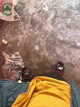 golofdss online show from April 2026 01:42:02 PM