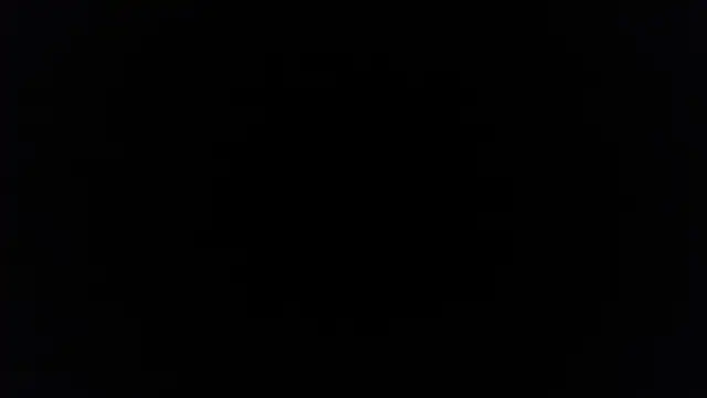 Snapshot of palidin1 chatting on December 2025 07:43:01 PM palidin1 online show from December 2025 07:43:01 PM