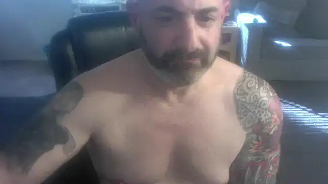 Snapshot of palidin1 chatting on February 2026 08:14:02 PM palidin1 online show from February 2026 08:14:02 PM