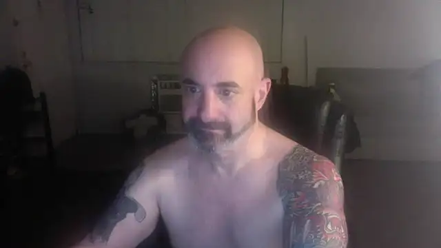 Snapshot of palidin1 chatting on February 2026 05:01:02 AM palidin1 online show from February 2026 05:01:02 AM