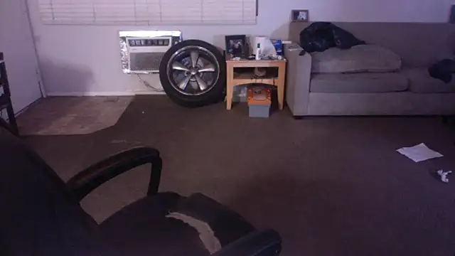 Snapshot of palidin1 chatting on April 2026 07:33:02 AM palidin1 online show from April 2026 07:33:02 AM
