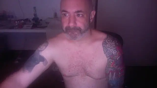 Snapshot of palidin1 chatting on July 2026 08:00:02 AM palidin1 online show from July 2026 08:00:02 AM
