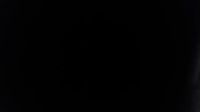 Snapshot of palidin1 chatting on July 2026 01:52:01 AM palidin1 online show from July 2026 01:52:01 AM
