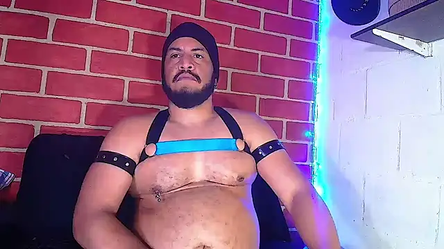 the master foal  online show from January 2025 04:11:01 PM