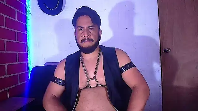 the master foal  online show from February 2025 05:29:01 AM