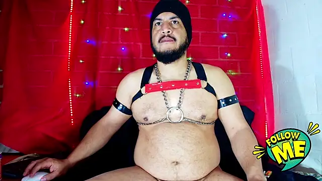 the master foal  online show from September 2025 11:12:01 AM