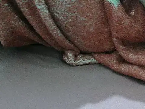 FUN4TIPS online show from March 2025 05:14:02 PM