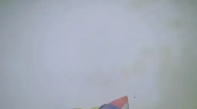 h0ney lips online show from January 2025 10:23:01 PM