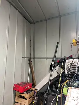 Rx7hvn online show from January 2025 08:39:01 AM