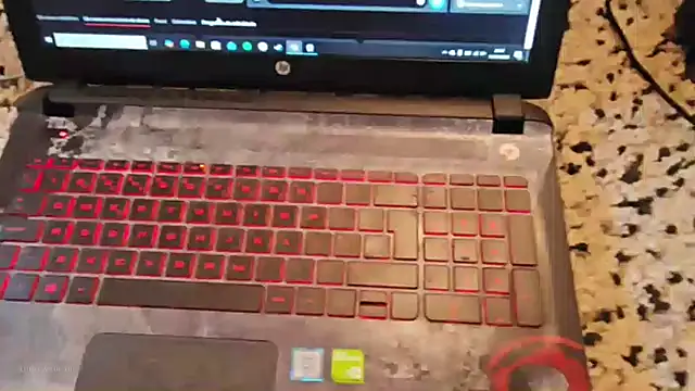 made in brazil online show from January 2026 08:47:01 PM