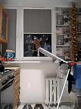 Snapshot of wilkalfa chatting on December 2024 05:20:01 AM wilkalfa online show from December 2024 05:20:01 AM