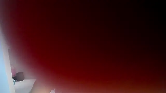 Tomguys online show from February 2025 01:10:01 PM