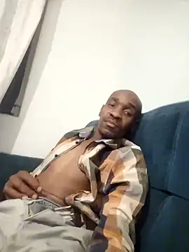 Dibobo4 online show from April 2026 09:08:02 PM