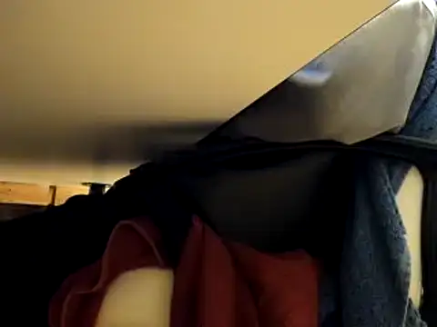 Snapshot of leccaleccafiga chatting on January 2025 05:01:01 PM leccaleccafiga online show from January 2025 05:01:01 PM