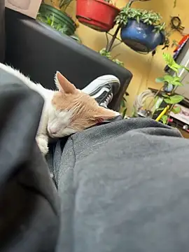 Lilmarieee online show from February 2025 04:15:01 PM