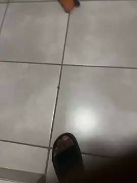 ROBOSTALLION online show from April 2026 09:26:01 PM