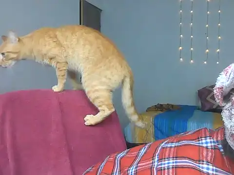 Olivia Bright online show from March 2026 10:13:02 PM