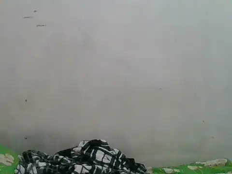 simplewild mom online show from September 2025 12:34:01 AM