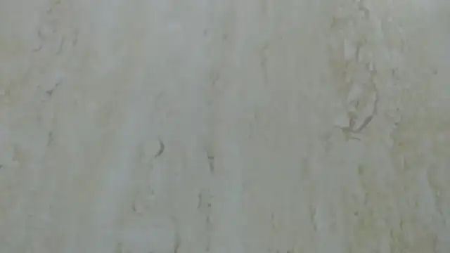 Snapshot of Crazy_team_ chatting on December 2024 03:31:02 PM Crazy team online show from December 2024 03:31:02 PM