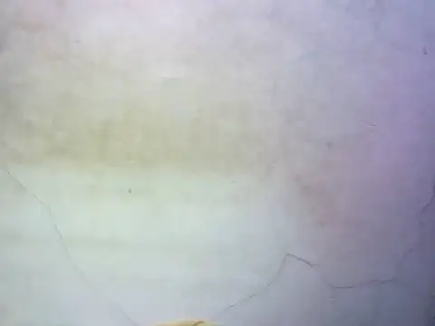 wet babexxx online show from October 2025 10:30:01 PM