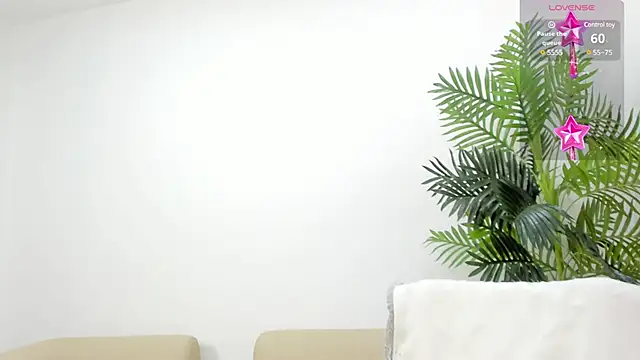 nohetanhai01   online show from January 2025 03:14:01 AM