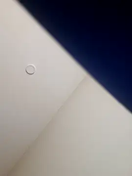 Ryeguy6969 online show from February 2025 04:04:01 PM