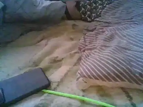 xsexy on91 online show from December 2025 07:50:01 AM