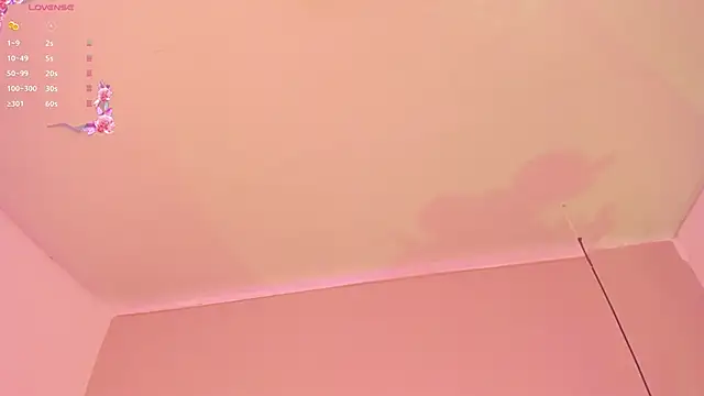 Snapshot of dulcepatersson1_ chatting on May 2026 09:11:02 PM dulcepatersson1 online show from May 2026 09:11:02 PM