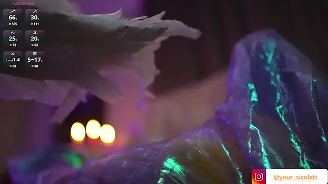 Your Nicolett online show from February 2025 04:47:02 AM