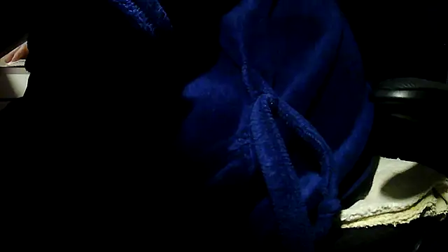 suedel65 online show from April 2026 04:01:01 AM