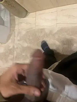 Snapshot of dingoding chatting on December 2024 11:26:02 PM dingoding online show from December 2024 11:26:02 PM