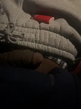 Snapshot of dingoding chatting on February 2025 01:44:02 AM dingoding online show from February 2025 01:44:02 AM