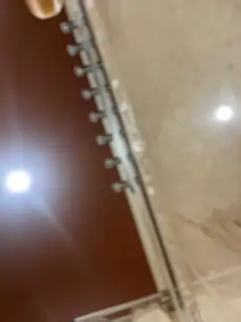 Snapshot of dingoding chatting on March 2025 06:51:01 PM dingoding online show from March 2025 06:51:01 PM