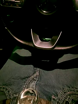 Snapshot of dingoding chatting on November 2025 08:47:01 AM dingoding online show from November 2025 08:47:01 AM