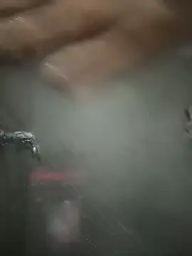 Noxarcane online show from December 2025 10:58:02 PM