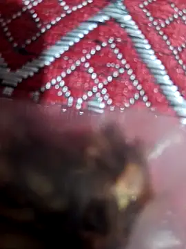 XBHUUME online show from February 2025 10:15:02 AM