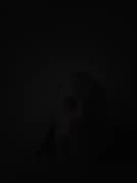 sandaker84 online show from May 2026 07:21:02 PM