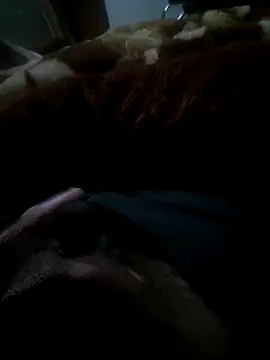 Snapshot of limtguys chatting on November 2025 07:19:02 PM limtguys online show from November 2025 07:19:02 PM