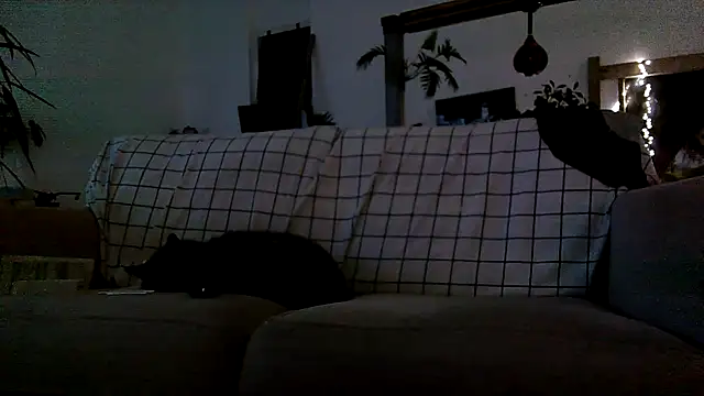 iamsex6969 online show from April 2026 03:57:01 AM