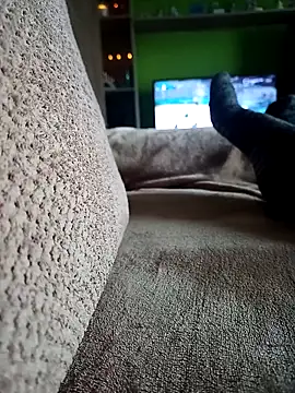 vena4 online show from February 2026 08:55:01 AM