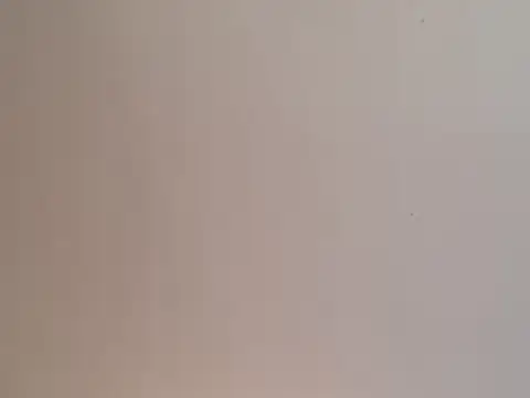 Snapshot of highstepper500 chatting on December 2024 02:02:02 PM highstepper500 online show from December 2024 02:02:02 PM