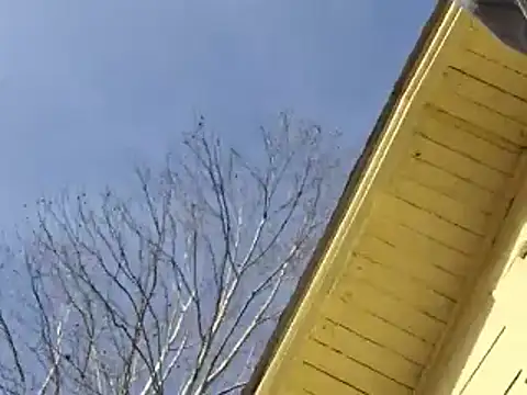 Snapshot of highstepper500 chatting on December 2024 11:10:01 PM highstepper500 online show from December 2024 11:10:01 PM