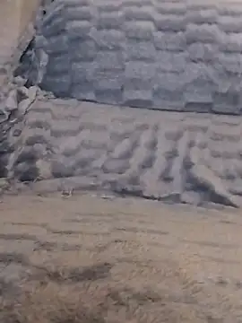 LoGaNfree88 online show from April 2026 01:11:02 AM