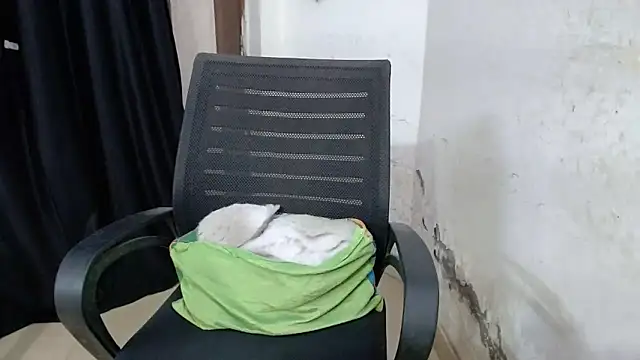 sexy vani1 online show from March 2026 06:46:02 PM