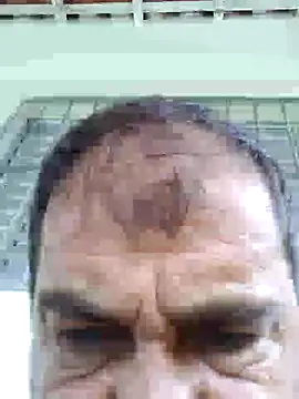 Snapshot of Peludo173317 chatting on January 2025 01:42:01 PM Peludo173317 online show from January 2025 01:42:01 PM