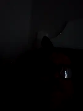 BocaElite online show from April 2026 11:52:02 AM